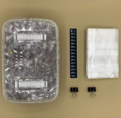 Magic Mushroom Kit Components
